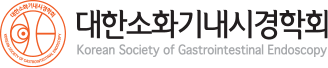 대한소화기내시경학회